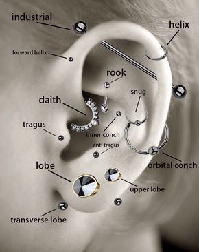 A Guide to Different Types of Piercings | Beauty Logic Blog