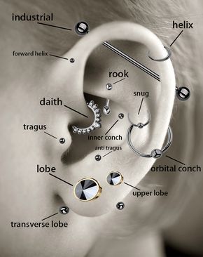 Ear Piercings